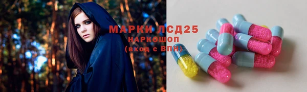 СК Магас